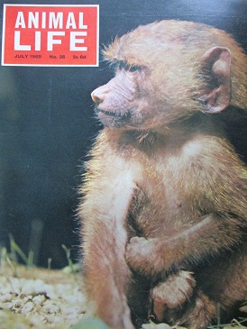 ANIMAL LIFE magazine, July 1965 issue for sale. Original British publication from Tilley, Chesterfie