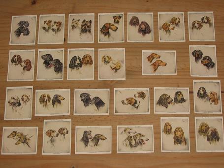 ORIGINAL SET 25 DOGS BY WARDLE PLAYERS CIGARETTE CARDS FOR SALE PURE NOSTALGIA ARCHIVES PRESENTS IN 